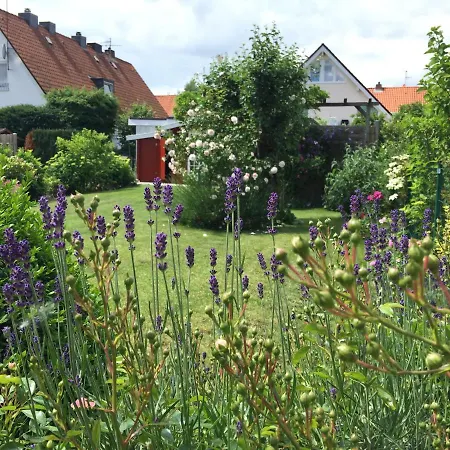 3-zimmer, 58 Qm Mit Garten, Zum 300 M Mit Komfort-ausstattung